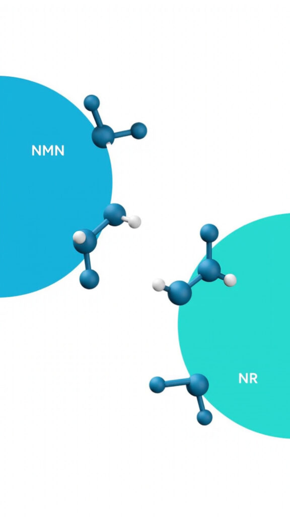 NMN vs NR: Which NAD+ Booster is Better? Science & Safety Guide