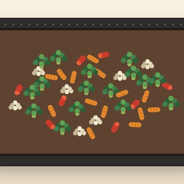 Air fryer frozen vegetables — top-down view of roasted broccoli, carrots, red peppers, and cauliflower in an air fryer basket