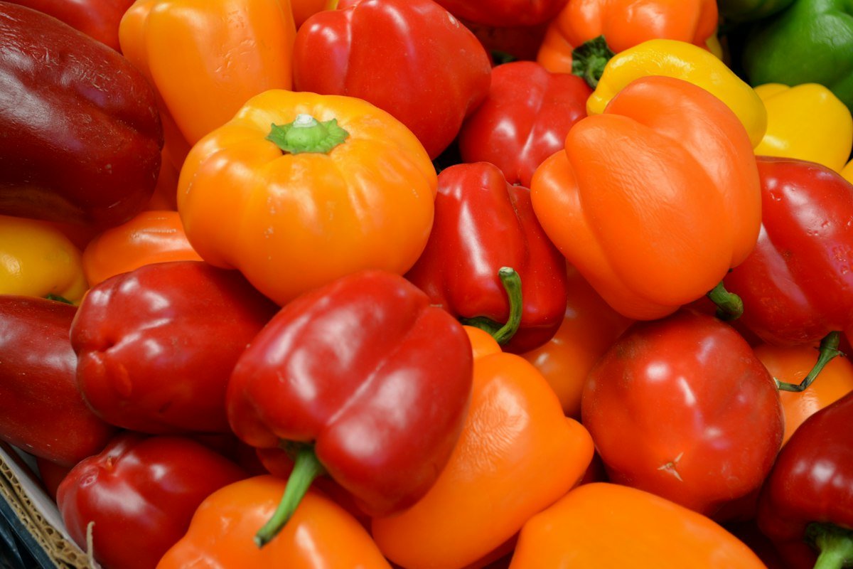 Fresh red, orange and yellow bell peppers for sheet pan sausage and peppers