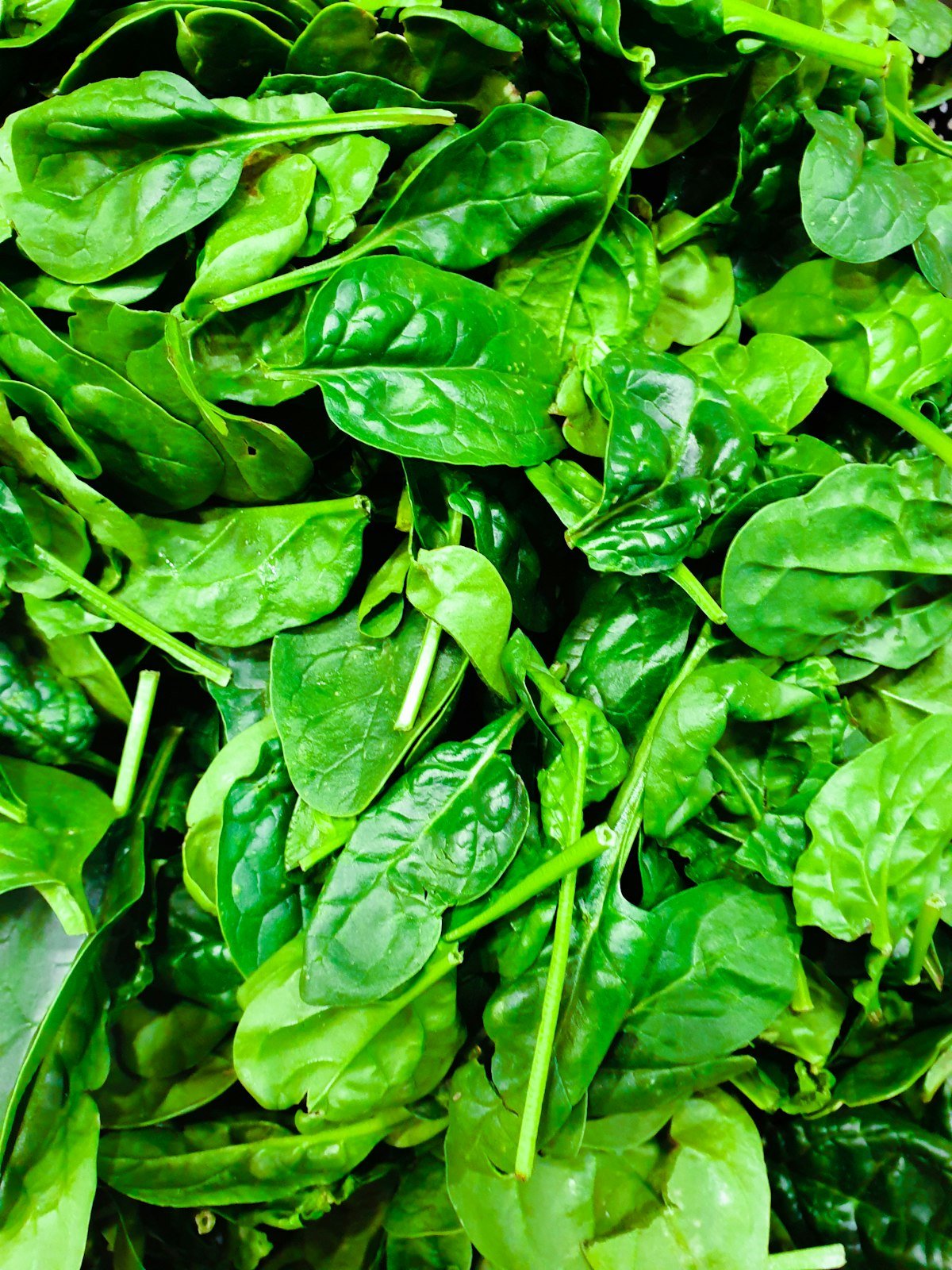 Fresh spinach leaves for creamy tomato pasta